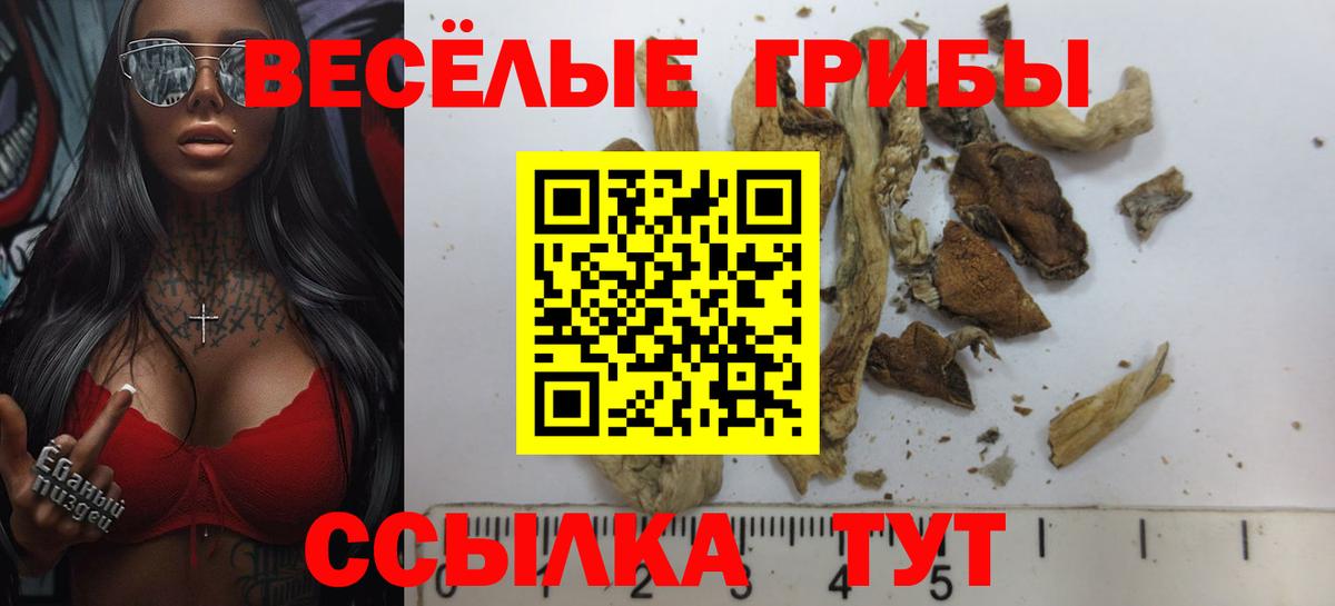 Галлюциногенные грибы ЛСД Красногорск